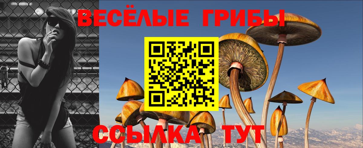 Псилоцибиновые грибы ЛСД Сарапул